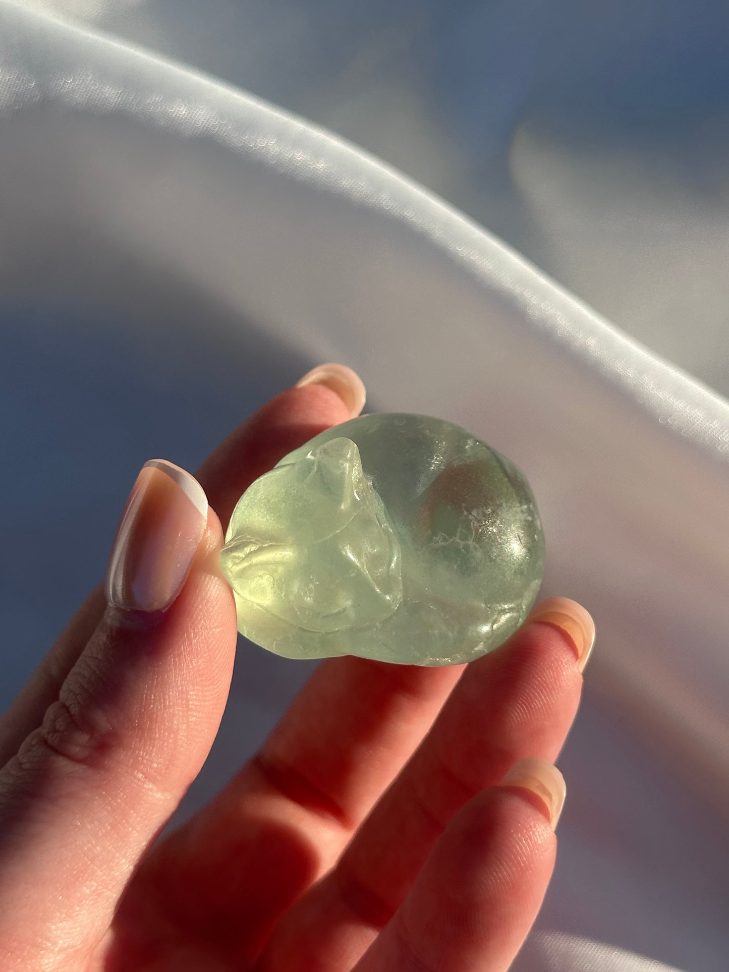 Mostly Clear Fluorite Cat (intuitively picked)