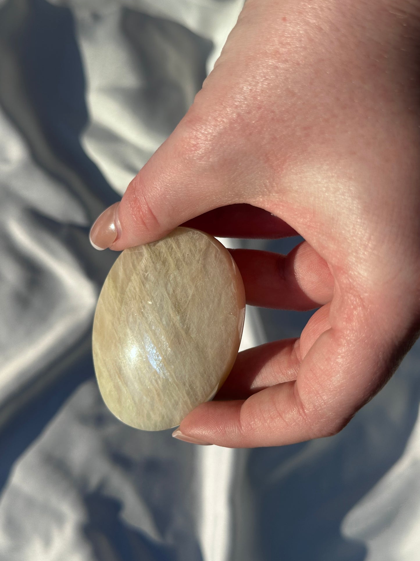 Moonstone Palm C