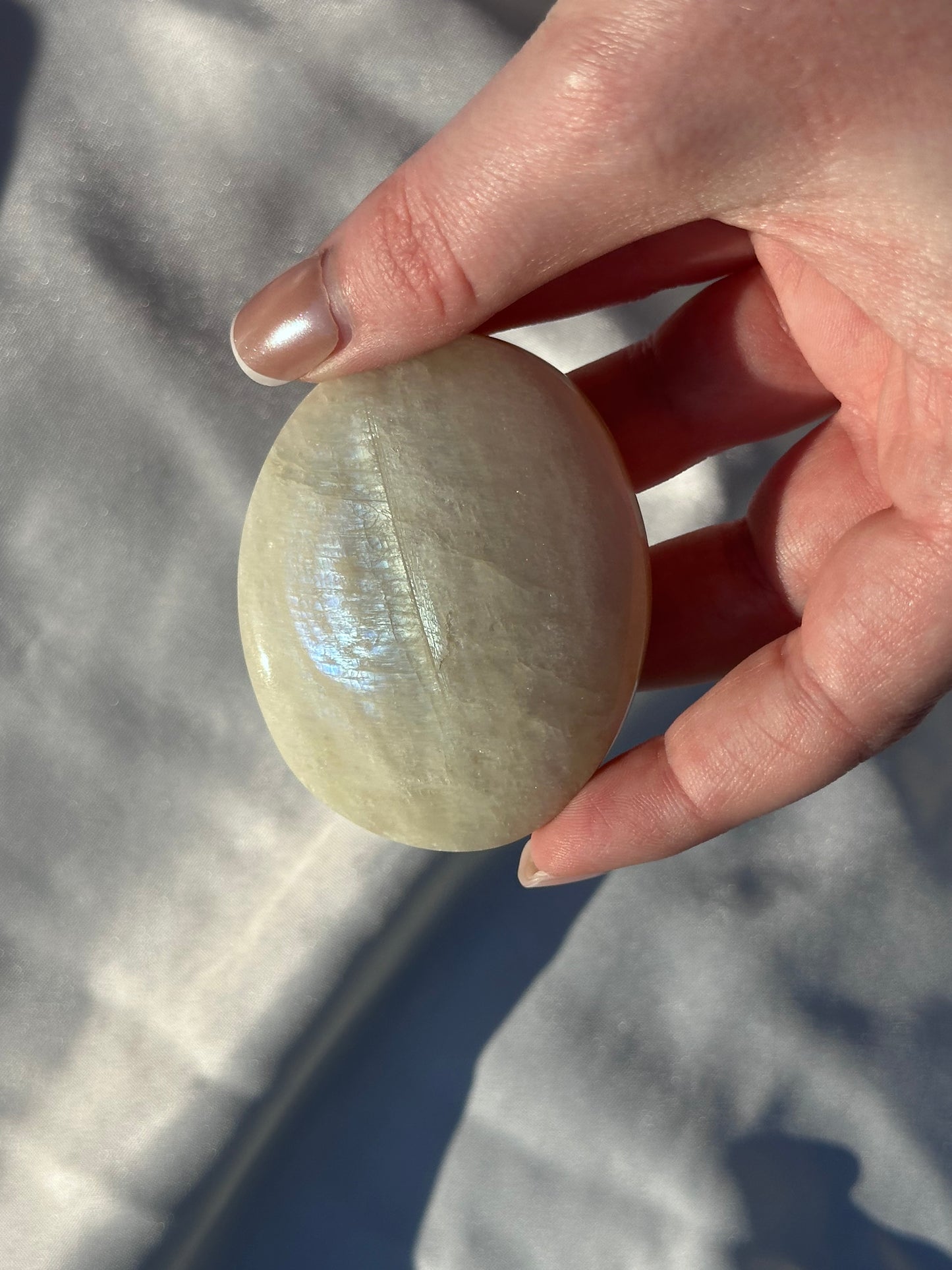 Moonstone Palm B