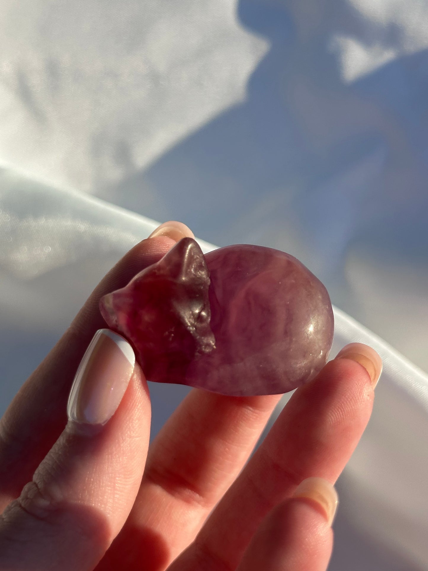 Purple Fluorite Cat (intuitively picked)