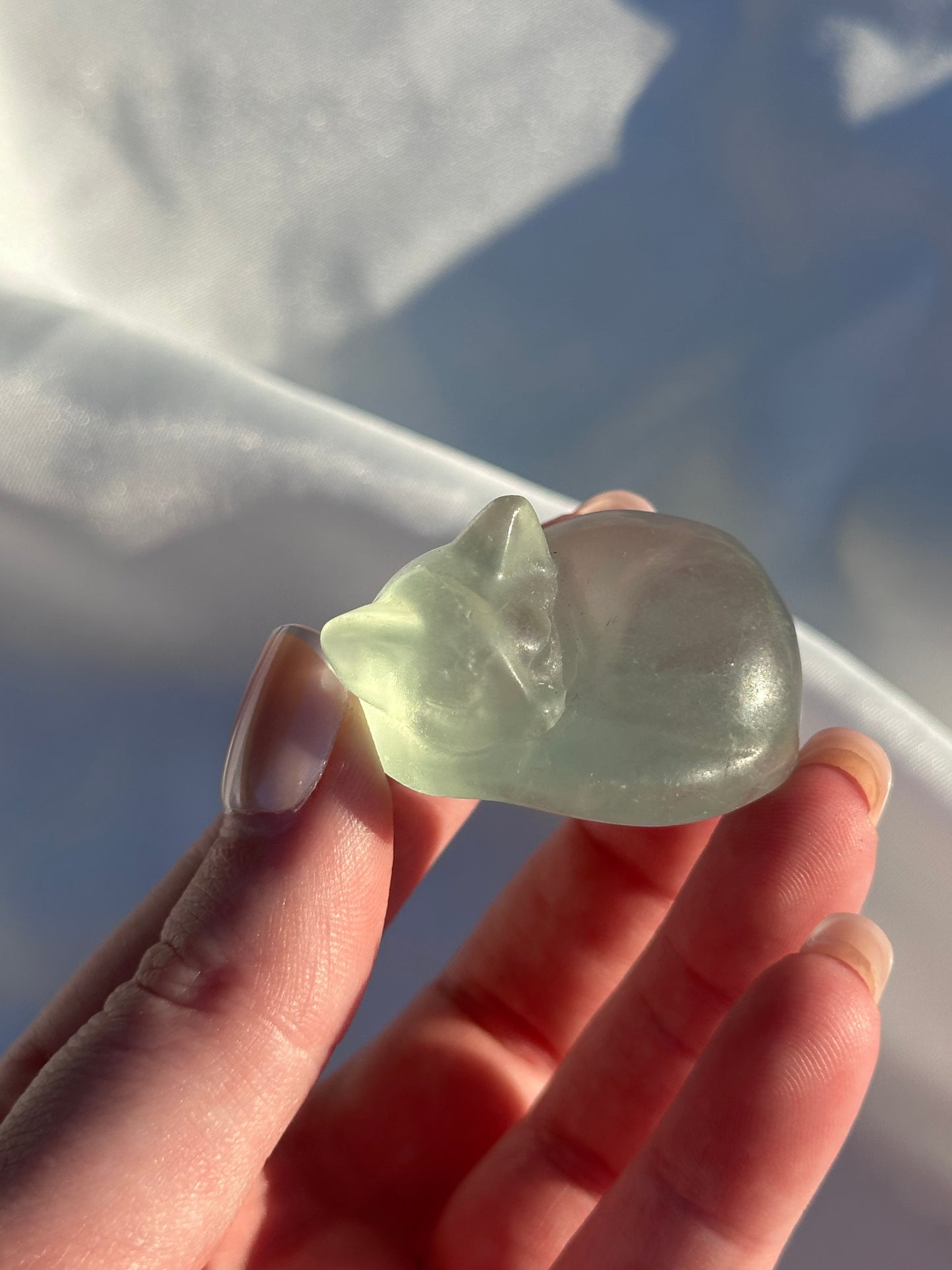 Mostly Clear Fluorite Cat (intuitively picked)